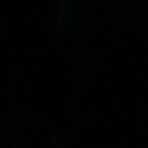 Meet your Posher, Lizbeth